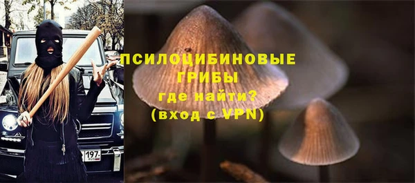 стаф Алексеевка