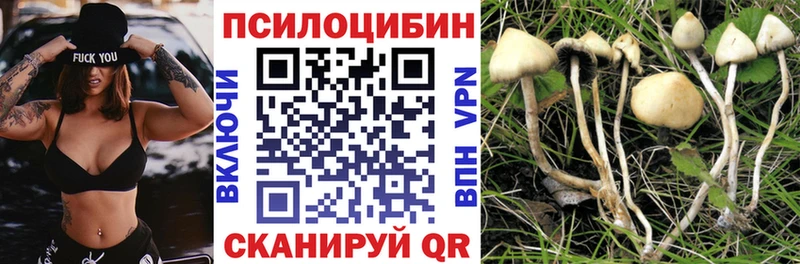 Галлюциногенные грибы ЛСД ОМГ ОМГ зеркало Тогучин