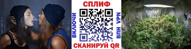 Шишки марихуана планчик это как зайти Тогучин blacksprut